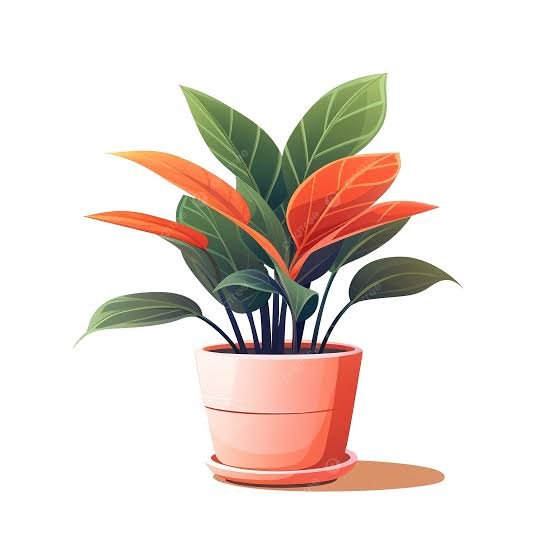 eff38d3a-dcc0-4967-b420-5a33e5fbe4ee